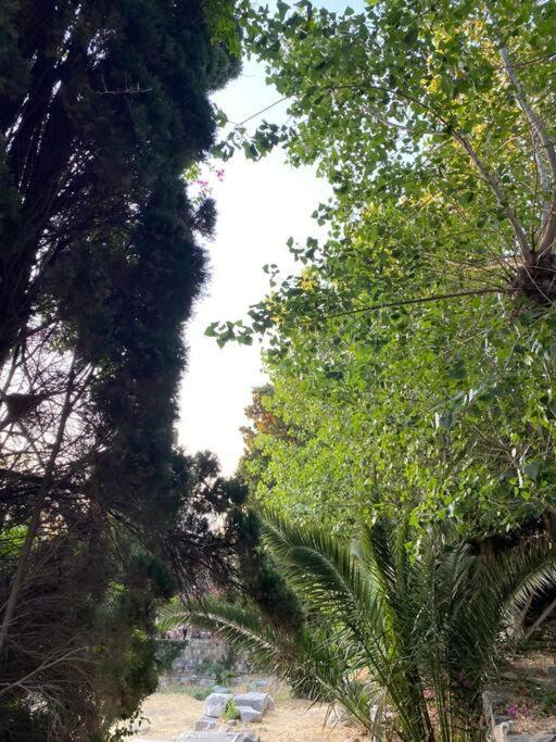 Casa Di Sardi Apartment Kos Town Luaran gambar
